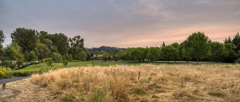 Foothills Park