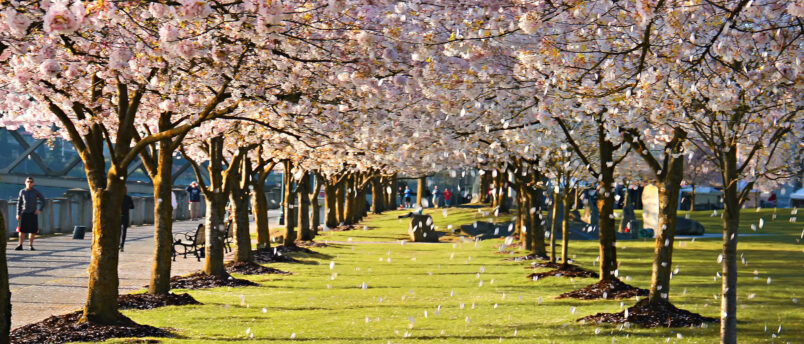 Tom McCall Waterfront Park